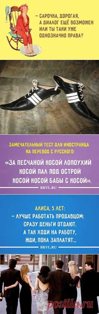 BKVL Развлекательный Портал