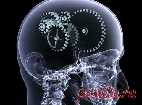 Как развивать свой мозг? | Вопрос дня. | Яндекс Дзен