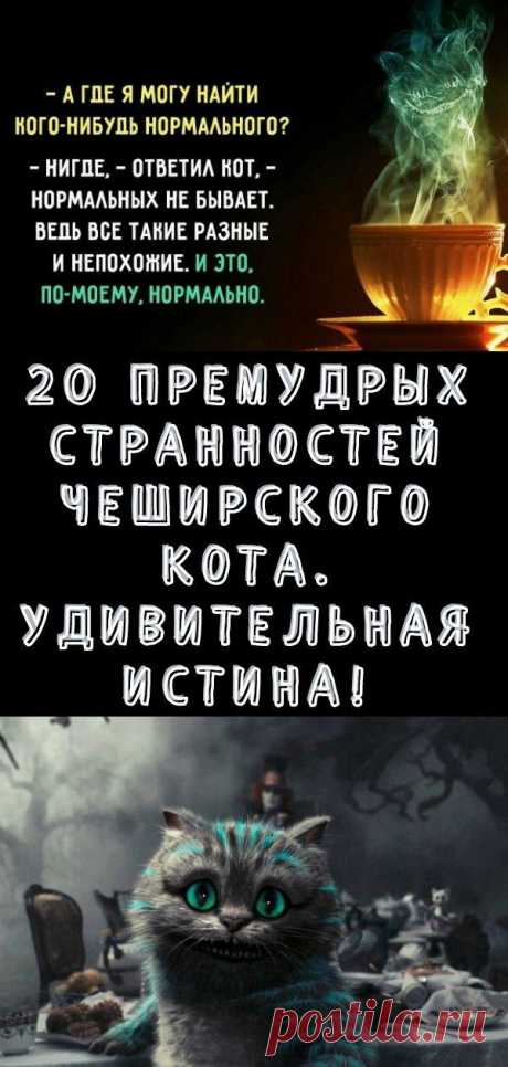 20 премудрых странностей Чеширского кота. Удивительная истина! - Кулинария, красота, лайфхаки