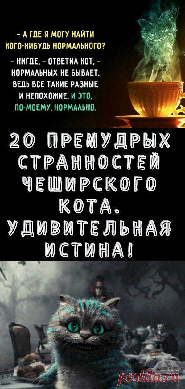 20 премудрых странностей Чеширского кота. Удивительная истина! - Кулинария, красота, лайфхаки