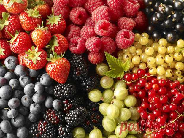 Семь лучших ягод для здоровых и крепких сосудов - KitchenMag.ru