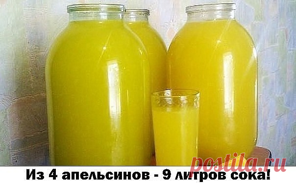 Из 4 апельсинов - 9 литров сока!
Сок апельсиновый!!!
4 апельсина вымыть, обдать кипятком (чтобы снять воск и убрать горечь), насухо вытереть, положить на 2 часа в морозилку, а лучше на ночь. Порезать и пропустить через мясорубку. Залить получившуюся массу тремя литрами холодной кипяченой воды (я использую воду из фильтра), дать настояться около 10 минут.
Процедить через дуршлаг (чтобы ушли крупные частицы), потом процедить через мелкое сито, или через марлю, сложенную в 5-...