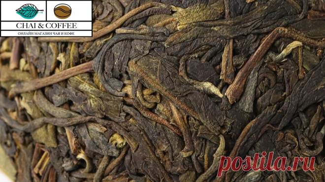 Вы знаете чем отличается чай Шен и Шу Пуэр? | Чай, кофе, сладости | Яндекс Дзен