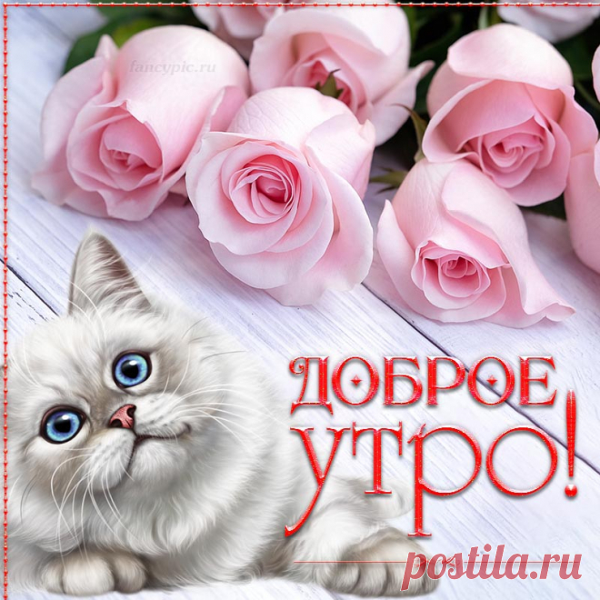 Доброе утро! Пусть утренний позитивный настрой подарит замечательный день.