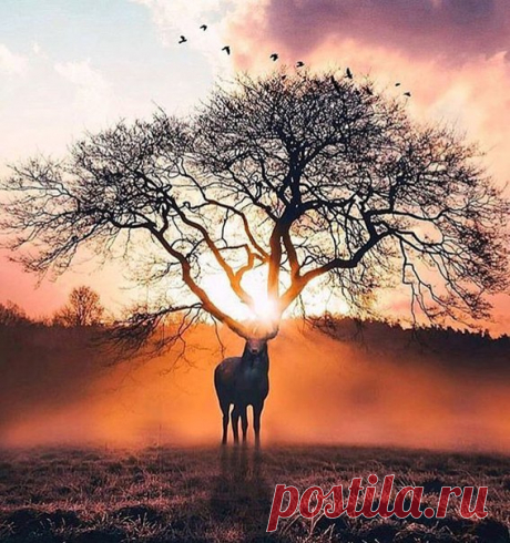 Фотографический процесс