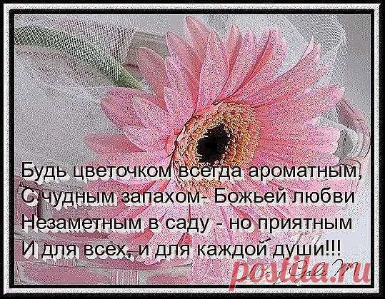 Будь цветочком всегда ароматным... http://www.rodoswet.ru/