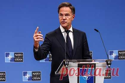 В Совфеде заявили о подрыве позиции генсека НАТО из-за вопроса по Украине