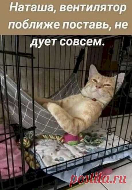 97c83b2c.jpg (500×720)