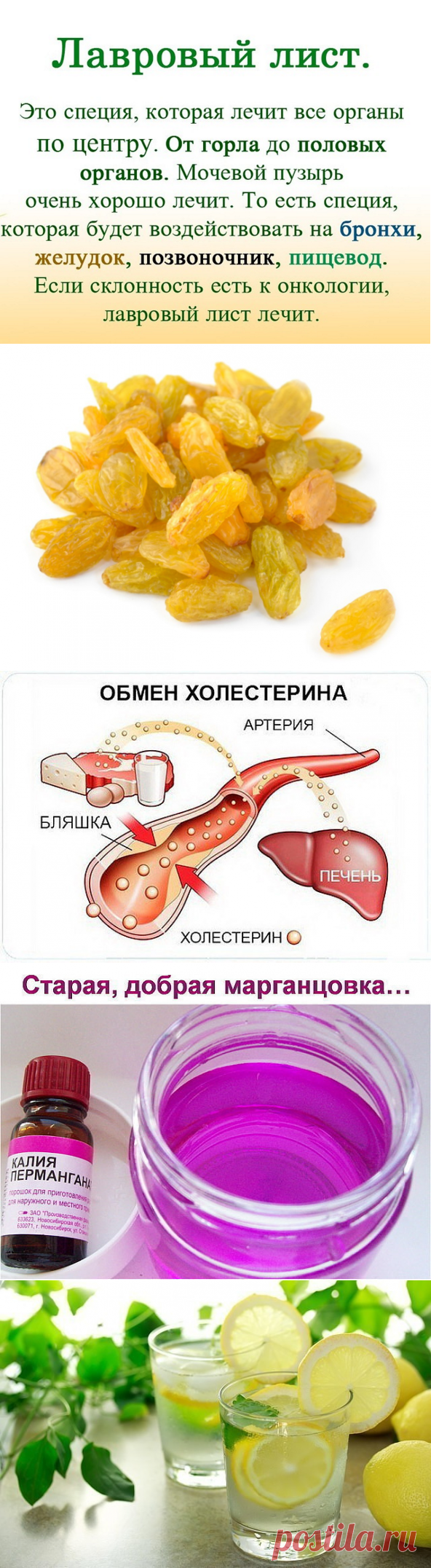 (11) Одноклассники