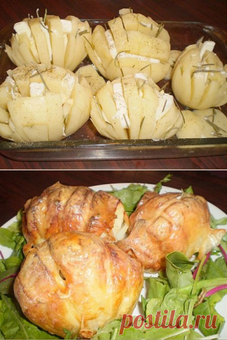 «Гассель» картофель по - шведски 
картофель - 5-6 шт
сливочное масло - 100 гр
сыр гауда - 100 гр
чеснок - 5-6 зубчиков
розмарин - 1-2 веточки
соль
перец
зелень
подсолнечное масло - 1-2 ст.л