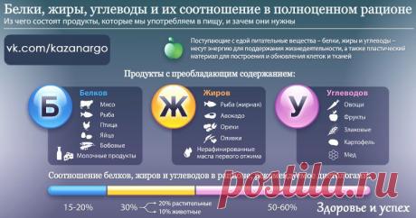 Для нормального функционирования организму требуется постоянное поступление питательных веществ. А наш организм состоит только из тех компонентов, которые поступают в него с пищей животного и растительного происхождения. 
Поступившие питательные вещества – это источники энергии, которая высвобождается при их сгорании, а также пластический материал, столь необходимый для построения и обновления клеток и тканей. По мере расходования пищевых веществ их запасы постоянно должны пополняться.
