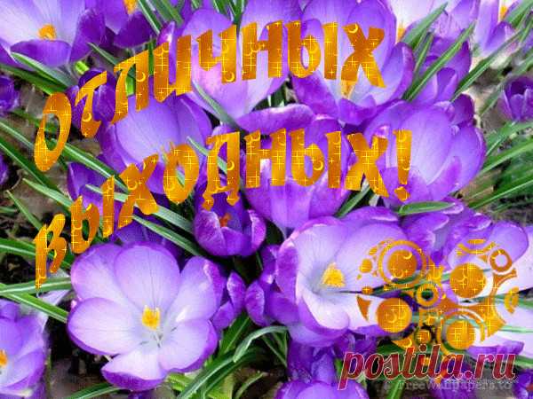 Фото Отправлена: Wed Oct 23 2013. Альбом 3D gallery - 2894 фото. Фотографии Стас Закшевский.