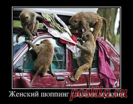 П0ДРАБОТКА через Интернет! Для Мам в декрете и домохозяек!
Без ПР0ДАЖ, без ВЛ0ЖЕНИЙ, Д0Х0Д сдельный:_от 5000руб_до_10000руб+Премии.
Можно без опыта работы! Обучение, в процессе Р@Б0ТЫ. Подробнее в личку: