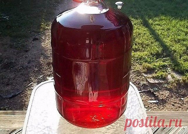 Шикарное, вкусное, ароматное домашнее вино, да еще и с 