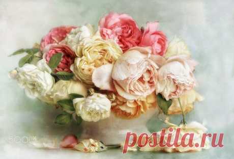 Time of Roses