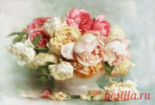 Time of Roses