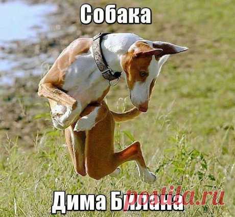 Интересные новости