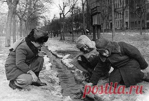 (99) Одноклассники