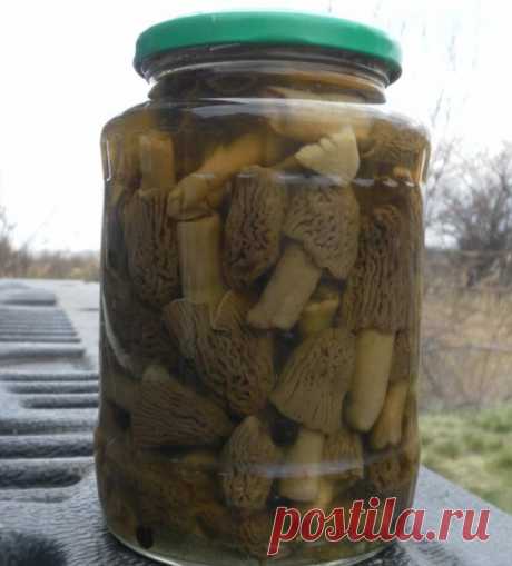 Сморчки маринованные - пошаговый кулинарный рецепт с фото на Повар.ру