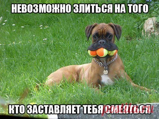 Редактировать описание