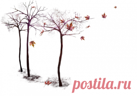 Осенние деревья - Осенний клипарт - Кира-скрап - клипарт и рамки на прозрачном фоне