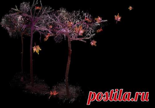 Осенние деревья - Осенний клипарт - Кира-скрап - клипарт и рамки на прозрачном фоне