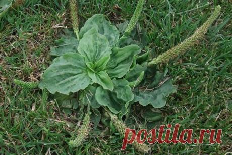 Будь в форме!