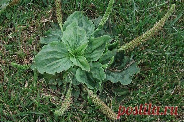 Будь в форме!