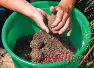 ПРИВАДА И ПРИКОРМКА