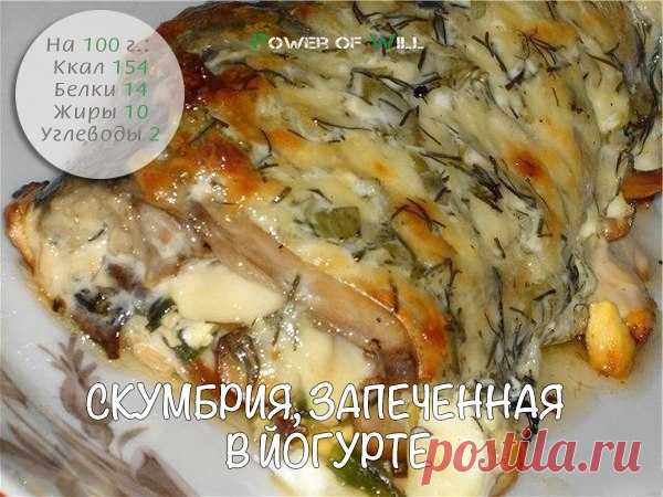 5 супер-рецептов с скумбрией: ужин, который подарит легкость!👌