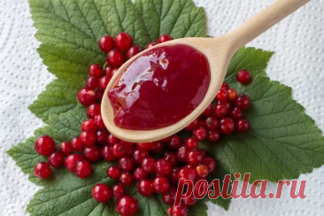 Желе из красной смородины с агар-агаром — Домашняя кулинария
