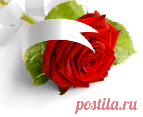 Nravitsya.net
