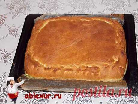 Пирог с зеленым луком и яйцом. Рецепт с фотографиями