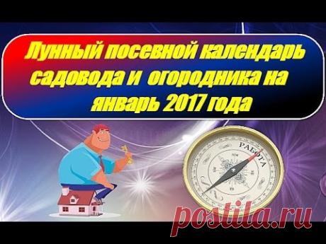 Лунный посевной календарь садовода и огородника на январь 2017 года - YouTube