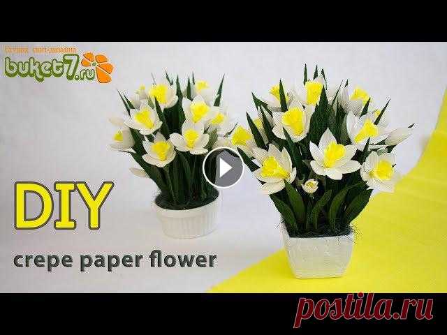 Нарциссы из гофрированной бумаги. Цветы из бумаги своими руками. Diy \ Buket7ruTVПодписывайся ► Примет Мои дорогие. Меня зовут Анна Тюмерова. Мы продо...