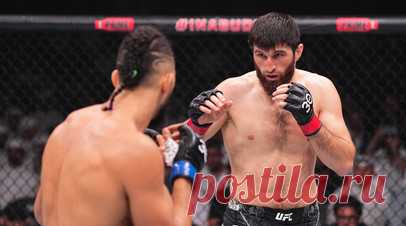 Гулян: справедливость восторжествует и Анкалаев станет чемпионом UFC. Спортивный директор лиги «Наше Дело» Армен Гулян высказался о бое Магомеда Анкалаева с бразильцем Джонни Уокером на турнире UFC 294, который был признан несостоявшимся. Читать далее