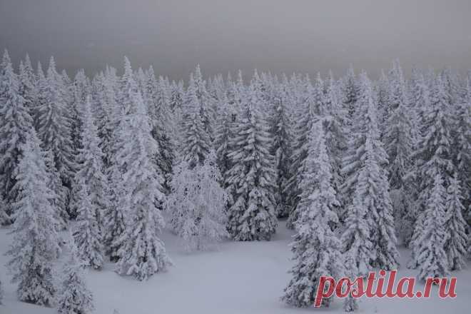 ФОТОМАСТЕРСКАЯ ПРИРОДЫ
Наталья Соболева (Романцова)