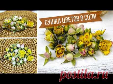 Любимый способ! Объемная сушка цветов в домашних условиях / Засушиваю бутоны роз в соли