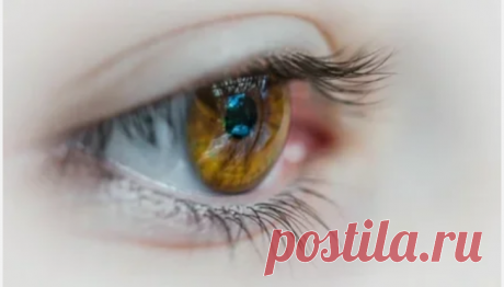 10 продуктов, которые улучшают зрение в любом возрасте, особенно после 50 | Всегда в форме!