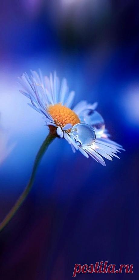 Pinterest: инструмент для поиска и хранения интересных идей