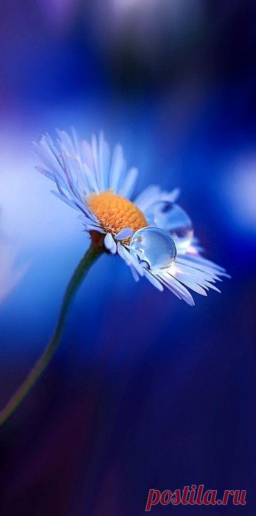 Pinterest: инструмент для поиска и хранения интересных идей