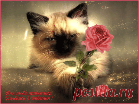 Открытки анимация Приветик | Открытки анимация