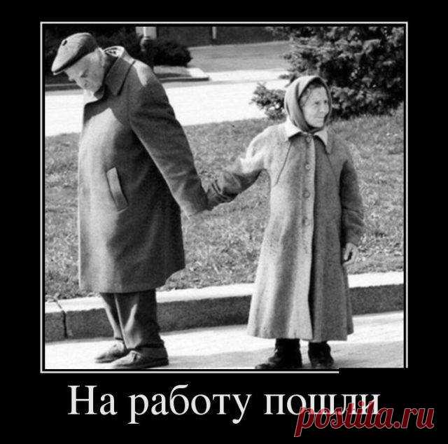 (37) Александр Жбанков