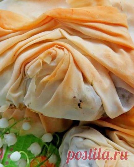 Мамин рецепт пирожков с курицей и шпинатом из теста фило с фото пошагово