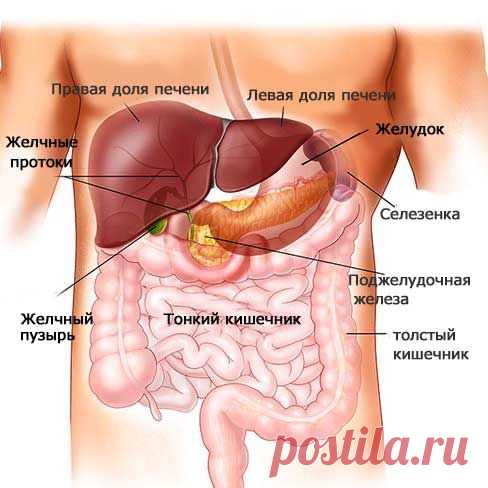 (+1) тема - Помогите железе – она же не железная! |