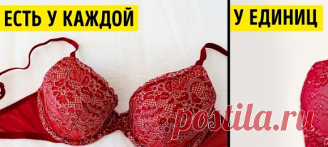 10+ вещей, на которые стоит раскошелиться, даже если жаба душит:
