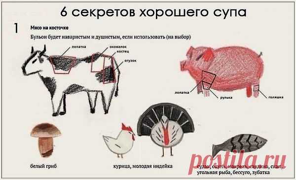 6 секретов хорошего супа.