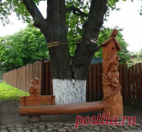 Кот ученый и др.
Владимир
