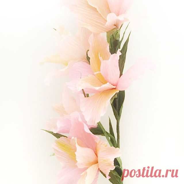 #paperflowers #papergladiolus