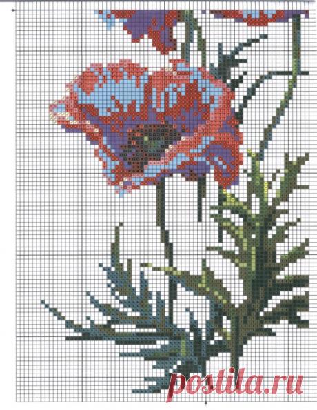 Gallery.ru / Фото #11 - Подсолнухи и маки: 2 схемы - frango